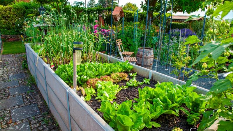 Trucul grădinarilor de top. Ingredientul-minune se regăsește aproape în fiecare casă. Ce beneficii are