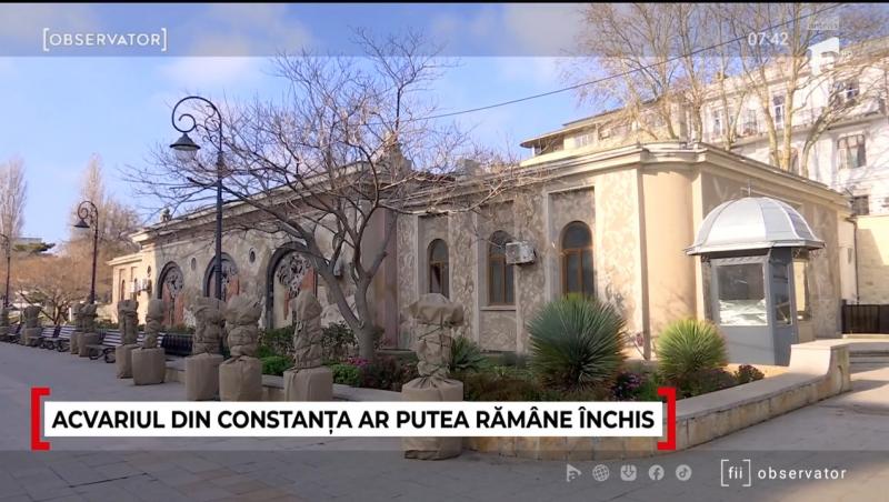 Acvariul din Constanța ar putea rămâne închis și vara aceasta. Care este motivul și ce spun specialiștii despre reabilitare