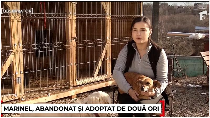 Povestea lui Marinel, cățelul care a fost returnat la adăpost, la 5 ani de la adopție. Micuțul și-a găsit o nouă stăpână