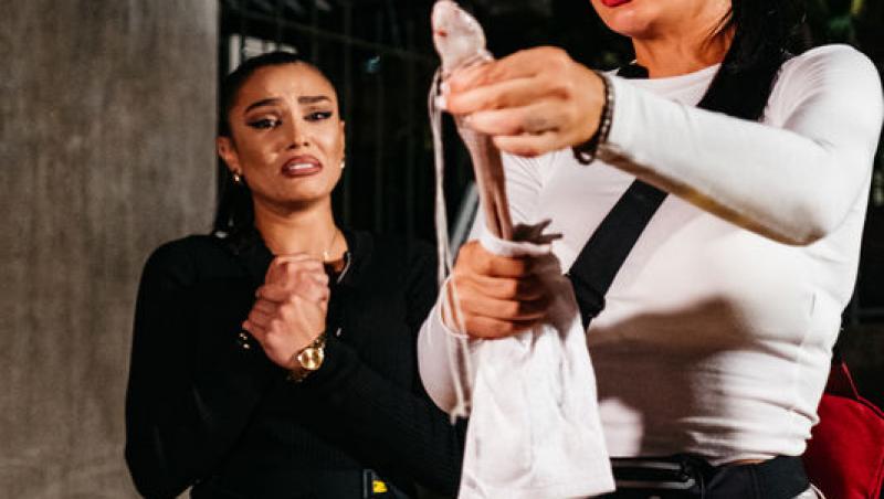 Asia Express sezonul 8, 1 octombrie 2025. Reacțiile echipelor la aflarea veștii că trebuie să mănânce carne de șarpe. Ce a urmat