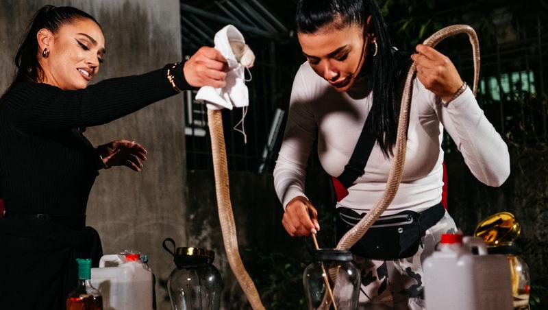 Asia Express sezonul 8, 1 octombrie 2025. Reacțiile echipelor la aflarea veștii că trebuie să mănânce carne de șarpe. Ce a urmat