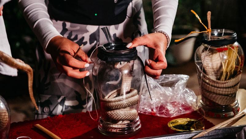 Asia Express sezonul 8, 1 octombrie 2025. Reacțiile echipelor la aflarea veștii că trebuie să mănânce carne de șarpe. Ce a urmat