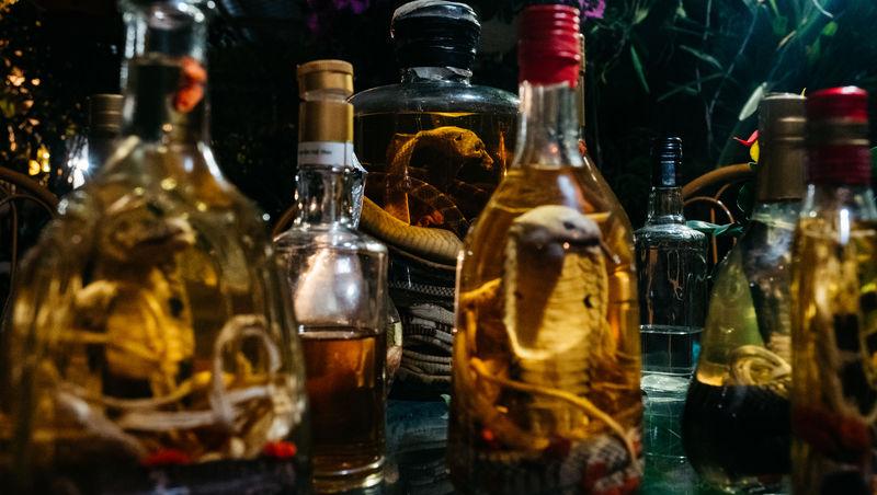 Asia Express sezonul 8, 1 octombrie 2025. Reacțiile echipelor la aflarea veștii că trebuie să mănânce carne de șarpe. Ce a urmat