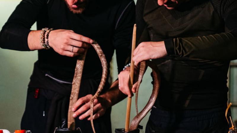 Asia Express sezonul 8, 1 octombrie 2025. Reacțiile echipelor la aflarea veștii că trebuie să mănânce carne de șarpe. Ce a urmat