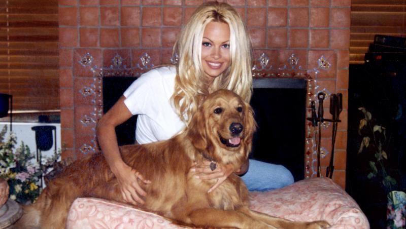 Pamela Anderson, schimbare radicală de look. Vedeta a renunțat la blondul care a consacrat-o: „Arată fabulos”