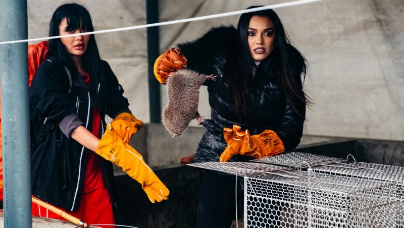 Bordea și Cortea, echipa surpriză în etapa a șasea de pe Drumul Eroilor, în Asia Express