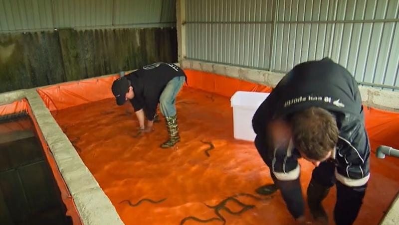 Asia Express sezonul 8, 13 octombrie 2025. Cine a câștigat jocul de amuletă și un Joker puternic. Ce s-a întâmplat