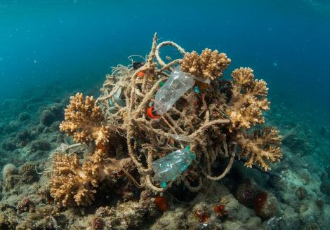 Punctul limită pentru încălzirea globală a fost atins pentru prima dată în istorie. „Daunele catastrofale” pe care le-ar produce