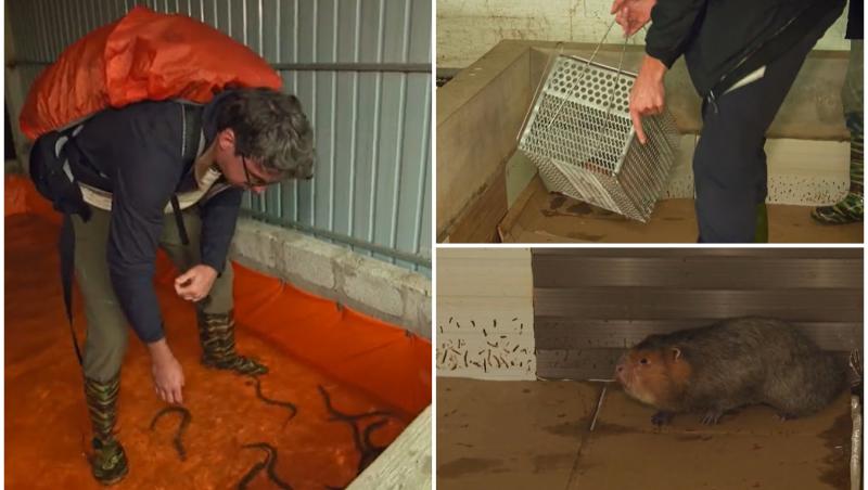 colaj foto cu concurenti de la asia express cand prind tipar si sobolani