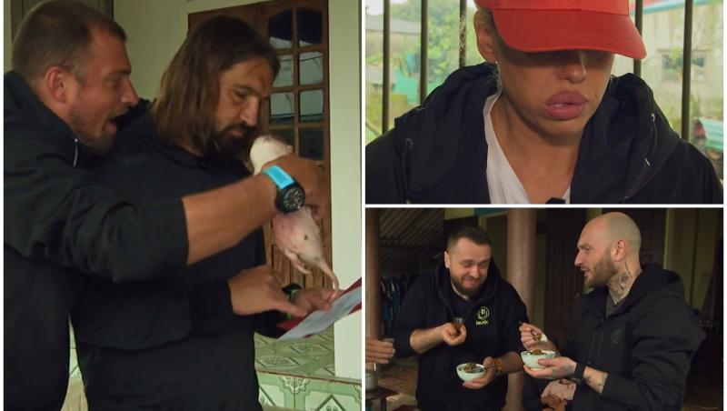 colaj foto cu anda adam, gabi tamas si dan alexa si catalin bordea cu nelu cortea la asia express