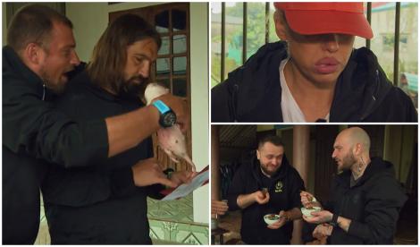 Asia Express sezonul 8, 13 octombrie 2025. Echipele au gătit și au mâncat șobolani și țipari! Cum au reacționat