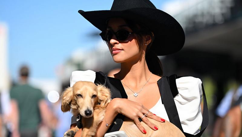 Cursa Formula 1™ pentru Marele Premiu al Statelor Unite ale Americii a fost pe Antena3CNN și AntenaPLAY. Max Verstappen a câștigat