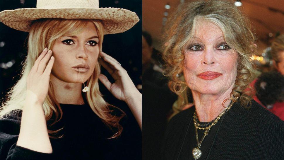 Brigitte Bardot se confruntă cu o boală gravă. Ce spun medicii despre recuperarea celebrei actrițe