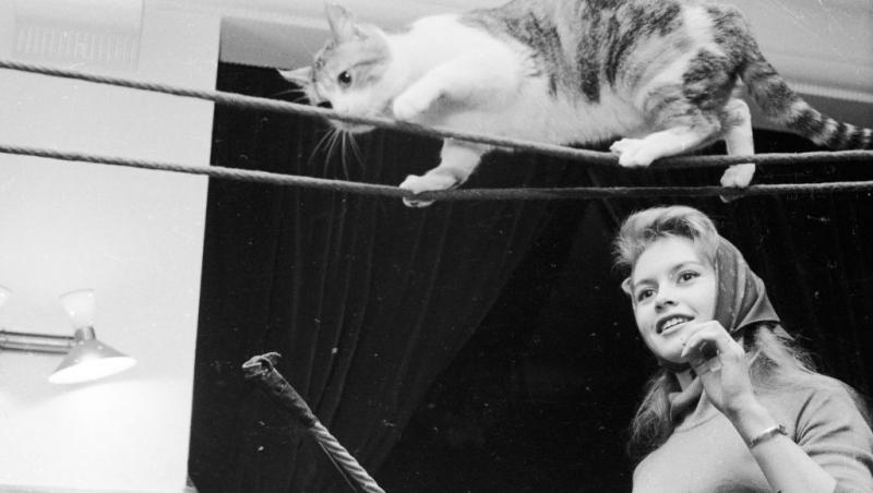 Brigitte Bardot se confruntă cu o boală gravă. Ce spun medicii despre recuperarea celebrei actrițe