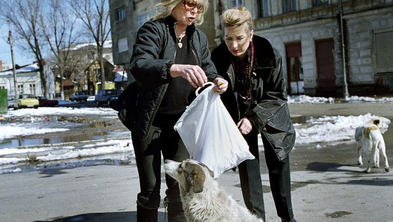 Brigitte Bardot se confruntă cu o boală gravă. Ce spun medicii despre recuperarea celebrei actrițe