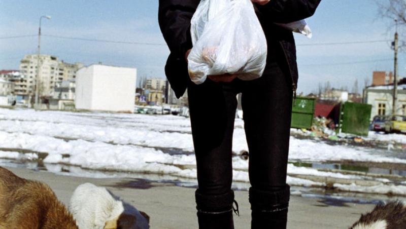 Brigitte Bardot se confruntă cu o boală gravă. Ce spun medicii despre recuperarea celebrei actrițe