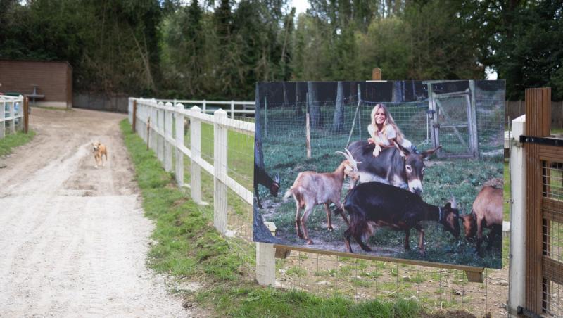 Brigitte Bardot se confruntă cu o boală gravă. Ce spun medicii despre recuperarea celebrei actrițe