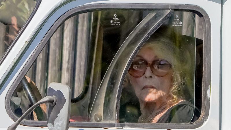 Brigitte Bardot se confruntă cu o boală gravă. Ce spun medicii despre recuperarea celebrei actrițe
