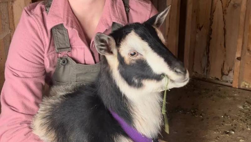 Tânăra de 25 ani care se pregătește pentru Apocalipsă! Ce a depozitat într-o cămară și pentru cât timp i-ar ajunge produsele