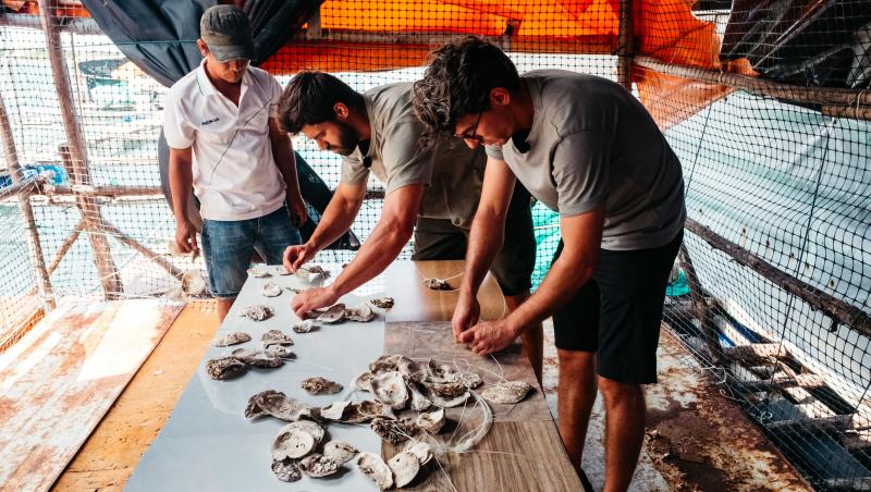 Asia Express sezonul 8, 26 octombrie 2025. Ce s-a întâmplat în toată ediția. Surpriza pe care au avut-o Karmen și Olga