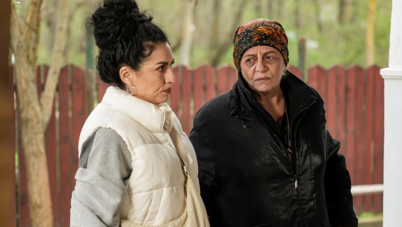 Iubire cu parfum de lavandă, rezumat episoade 19, 20 și 21 din 24 octombrie 2025. Albert se întoarce în Podișor. Ce pățește Amalia