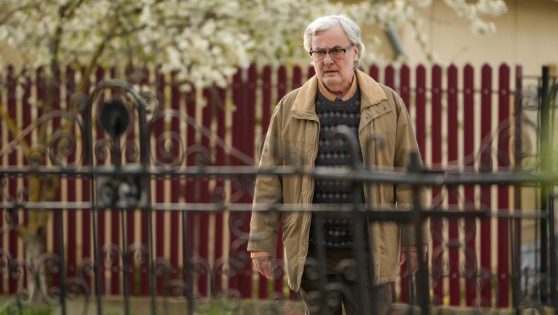 Iubire cu parfum de lavandă, rezumat episoade 19, 20 și 21 din 24 octombrie 2025. Albert se întoarce în Podișor. Ce pățește Amalia