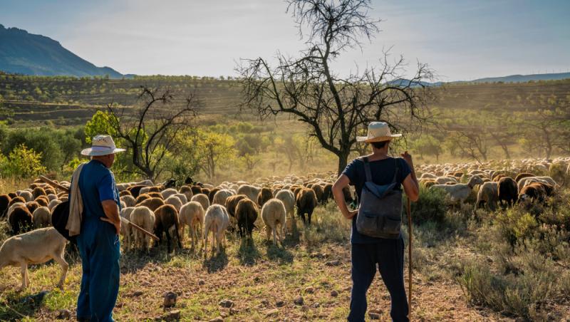 Guvernul spaniol oferă peste 1.000 de euro pentru un job. De ce nu vor să audă spaniolii de meseria respectivă