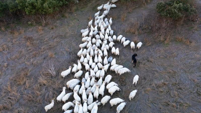 Guvernul spaniol oferă peste 1.000 de euro pentru un job. De ce nu vor să audă spaniolii de meseria respectivă