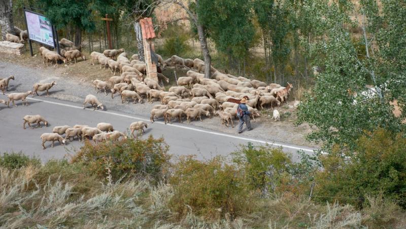 Guvernul spaniol oferă peste 1.000 de euro pentru un job. De ce nu vor să audă spaniolii de meseria respectivă