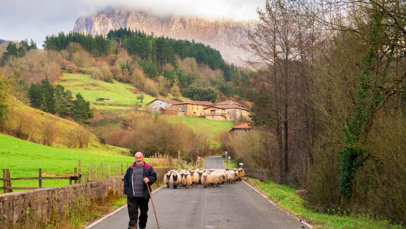 Guvernul spaniol oferă peste 1.000 de euro pentru un job. De ce nu vor să audă spaniolii de meseria respectivă