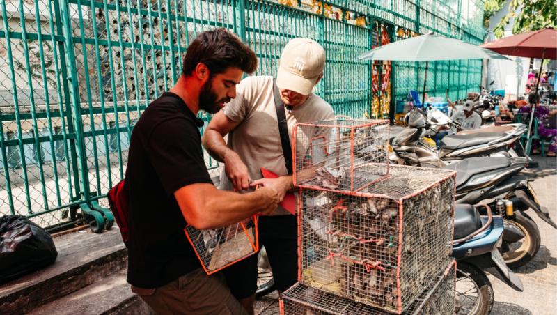 Asia Express sezonul 8, 29 octombrie 2025. Etapa din Vietnam s-a încheiat cu multe lacrimi și cu o echipă în minus! Ce urmează