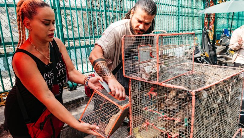 Asia Express sezonul 8, 29 octombrie 2025. Etapa din Vietnam s-a încheiat cu multe lacrimi și cu o echipă în minus! Ce urmează