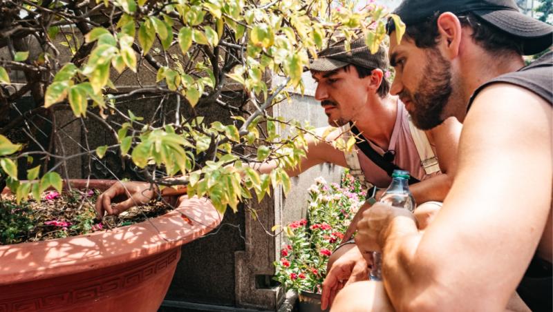 Asia Express sezonul 8, 29 octombrie 2025. Emil Rengle a fost la un pas de moarte. Ce confesiuni a făcut abia acum