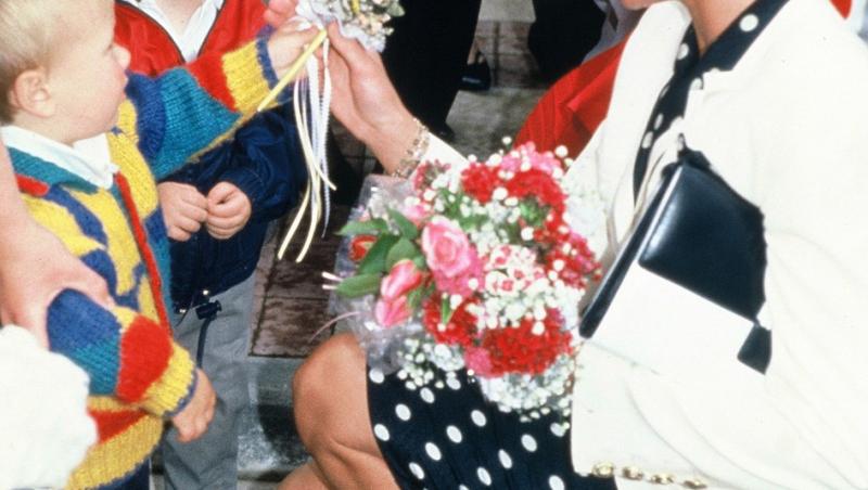 S-a aflat secretul Prințesei Diana. Ce introducea în palat crezând că nu o vede nimeni