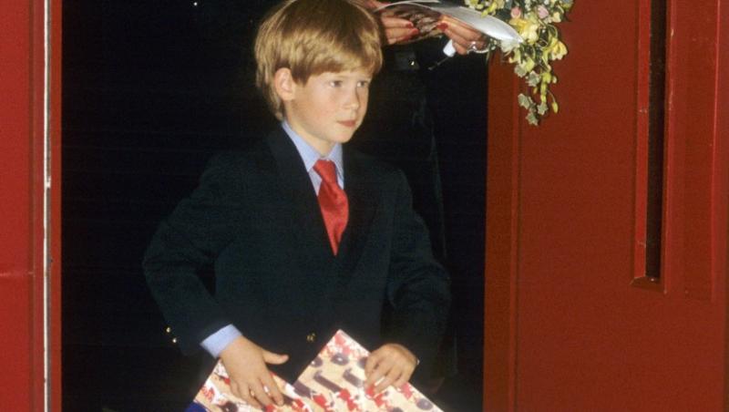 S-a aflat secretul Prințesei Diana. Ce introducea în palat crezând că nu o vede nimeni