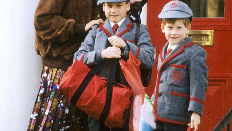 S-a aflat secretul Prințesei Diana. Ce introducea în palat crezând că nu o vede nimeni