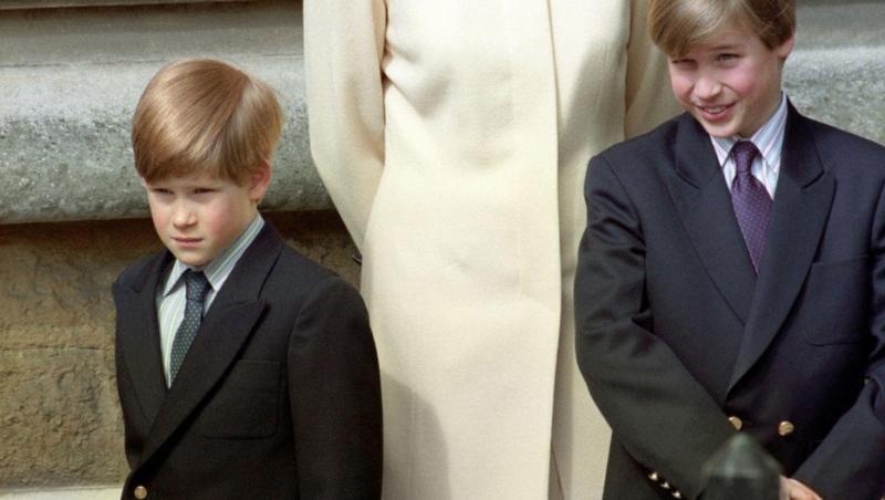 S-a aflat secretul Prințesei Diana. Ce introducea în palat crezând că nu o vede nimeni