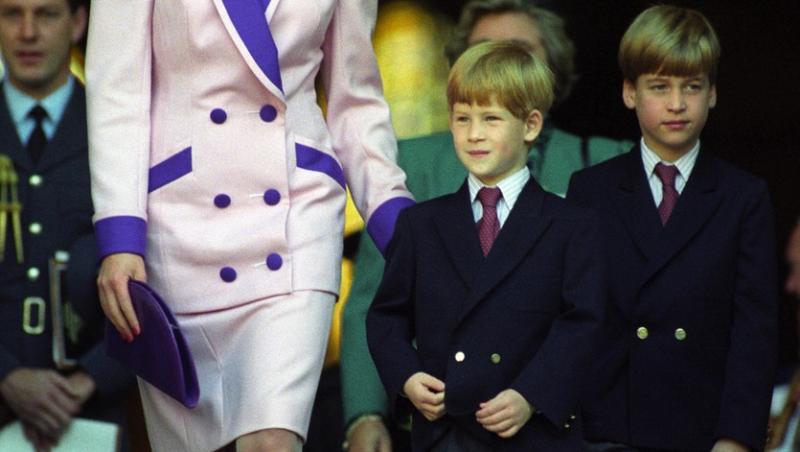 S-a aflat secretul Prințesei Diana. Ce introducea în palat crezând că nu o vede nimeni