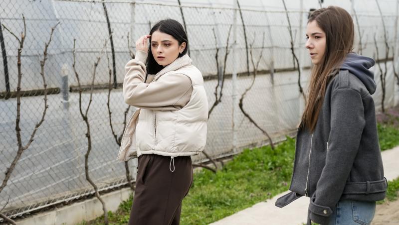 Iubire cu parfum de lavandă, rezumat episoade 22, 23 și 24 din 31 octombrie 2025. Ce decizie ia Anda cu privire la mutarea lor