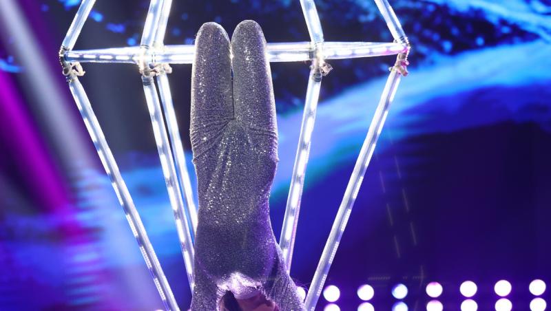The Ticket, 4 octombrie 2025. Ce s-a întâmplat în a cincea ediție a talent show-ului. De ce a lipsit Micutzu din juriu