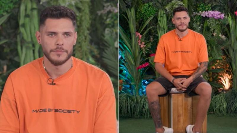 colaj andrei lemnaru