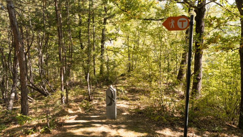 Un tânăr cu deficiențe de vedere se luptă pentru o țară mai accesibilă. Cum a putut străbate Via Transilvanica: „Inconștiență”