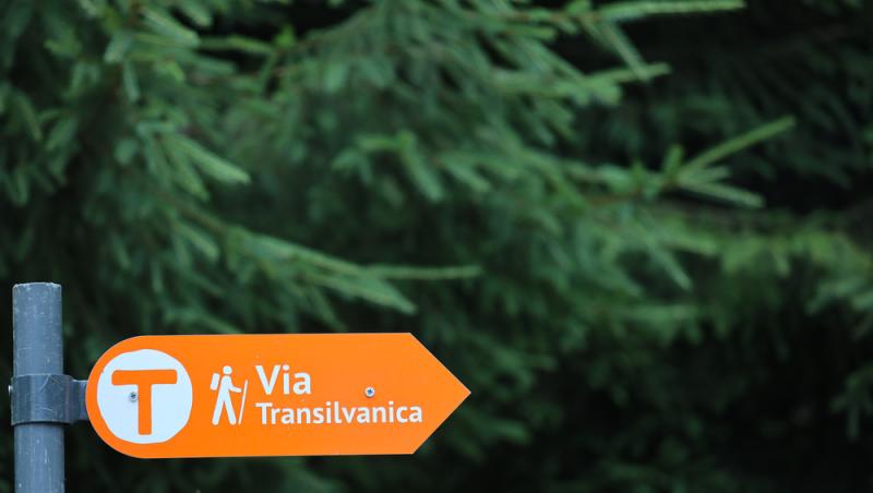 Un tânăr cu deficiențe de vedere se luptă pentru o țară mai accesibilă. Cum a putut străbate Via Transilvanica: „Inconștiență”