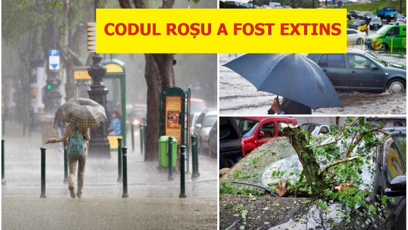colaj foto cu ploaie abundata si copac cazut pe o masina