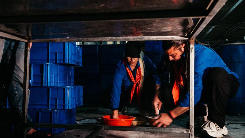 Asia Express sezonul 8, 8 octombrie 2025. Ce echipă a fost eliminată de pe Drumul Eroilor în etapa cinci: „Mai rar așa ceva!”