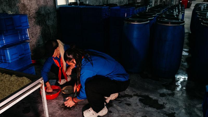 Asia Express sezonul 8, 8 octombrie 2025. Ce echipă a fost eliminată de pe Drumul Eroilor în etapa cinci: „Mai rar așa ceva!”