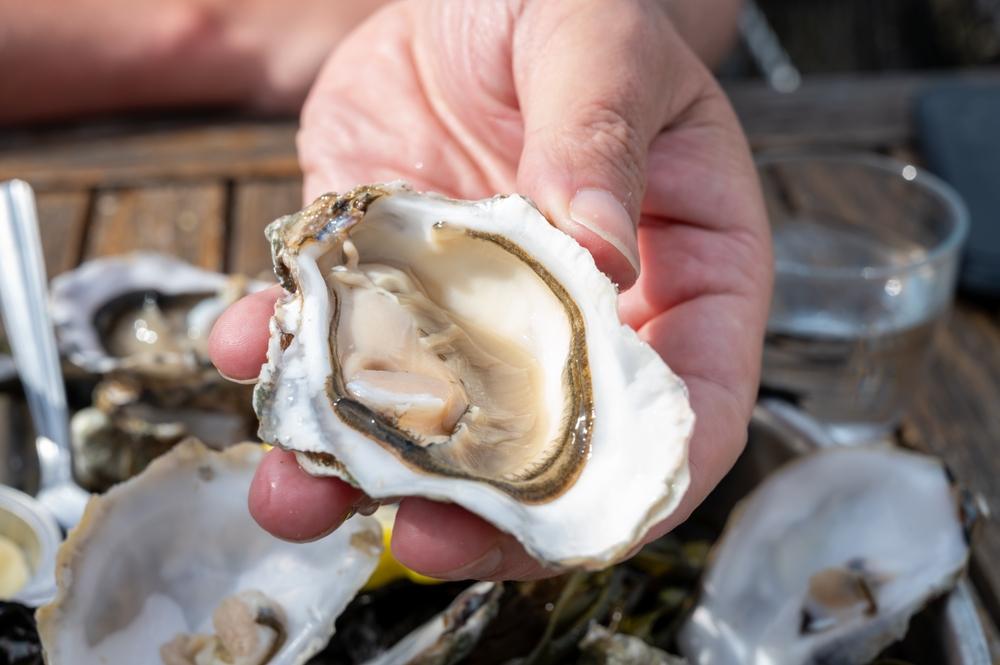 Mituri din bucătărie. Este sau nu sigur să consumăm stridii crude?