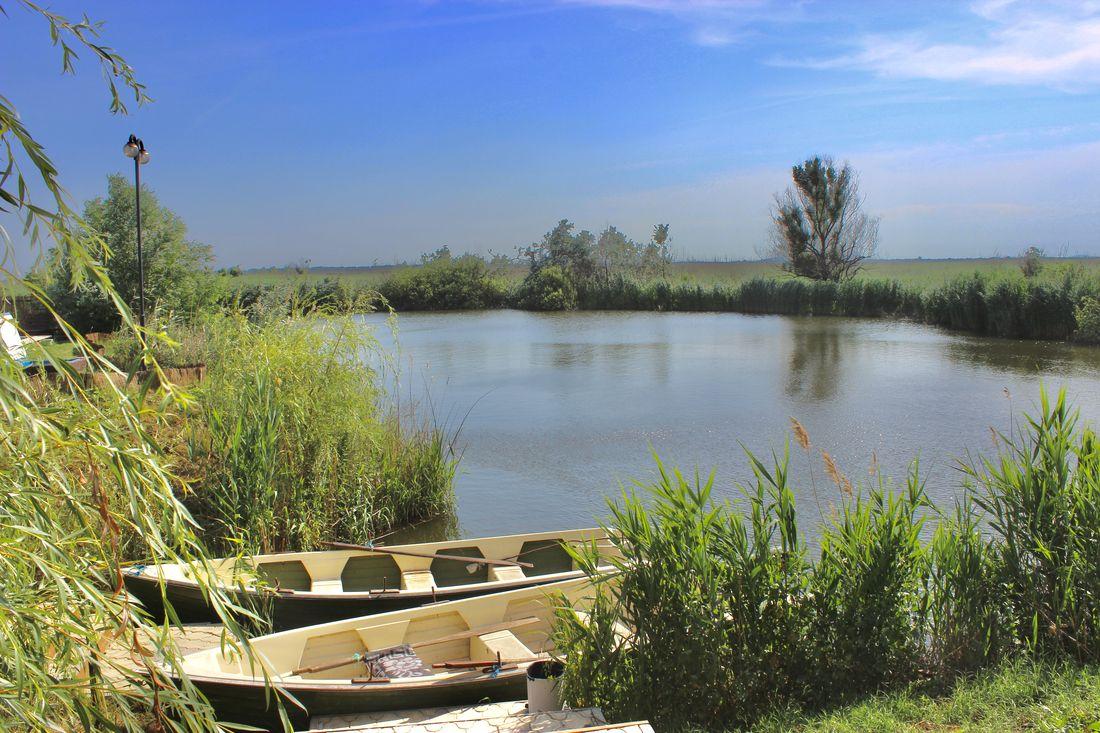 (P) La pescuit în Delta Dunării - Conectează-te cu natura fabuloasă