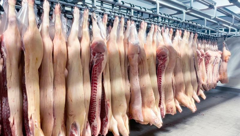 Diferența dintre greutatea în viu și cea netă la porci. Cum să îți organizezi bugetul pentru masa de Crăciun