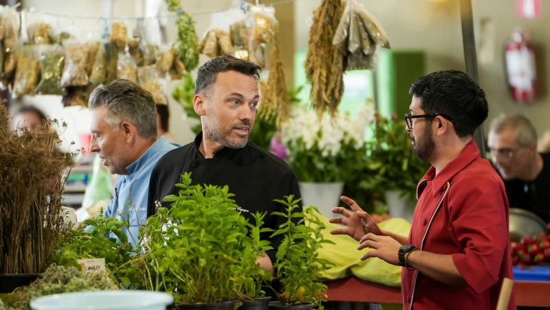 Chefi la cuțite, 16 noiembrie 2025. Chef Orlando Zaharia a dat cuțitul de aur! Ce concurenți au impresionat în prima ediție